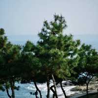 「沖繩真榮田岬：壯麗海景，流連忘返」