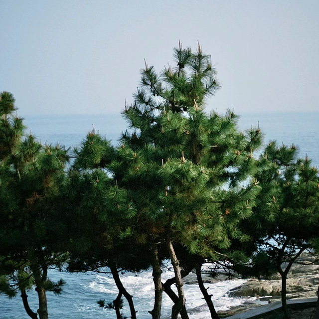 「沖繩真榮田岬：壯麗海景，流連忘返」