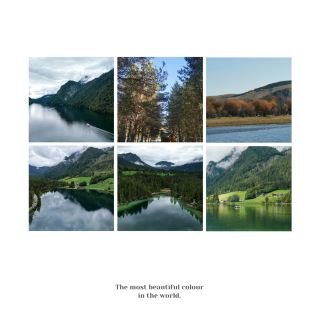 Farningham Wood Nature Reserve: 自然生態資源豐富，適合步行和觀察野生動植物