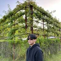 푸릇푸릇한 수풀속의 낙원 에덴 파라다이스🌳