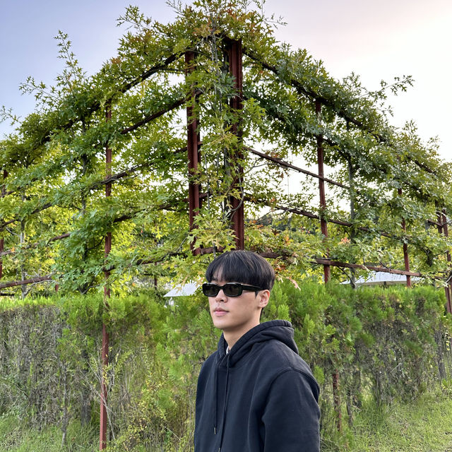 푸릇푸릇한 수풀속의 낙원 에덴 파라다이스🌳