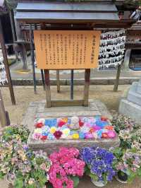 【奈良】花手水が可愛い岡寺🌷紫陽花シーズン