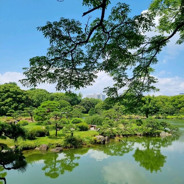 입장권이 하나도 안 아까운 도쿄의 조용한 정원