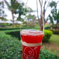 The Pomelo Cafe