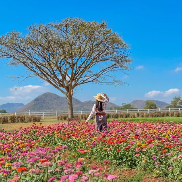 มาขับรถเที่ยว ตะลอนฟาร์มโชคชัย นครราชสีมา