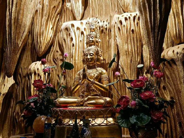 ชมพญานาคเรืองแสง @วัดป่าภูปัง