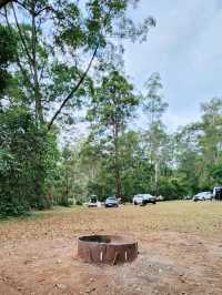 🇦🇺 Awesome Camping Site in Queensland, Australia