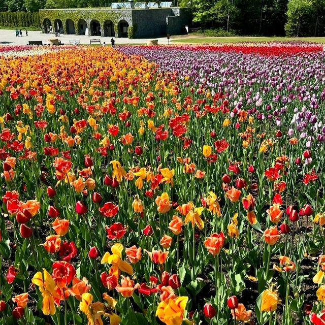 瀧野鈴蘭丘陵公園
