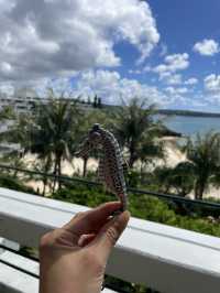 推しホテル！ムーンビーチミュージアムリゾートのクラブルーム