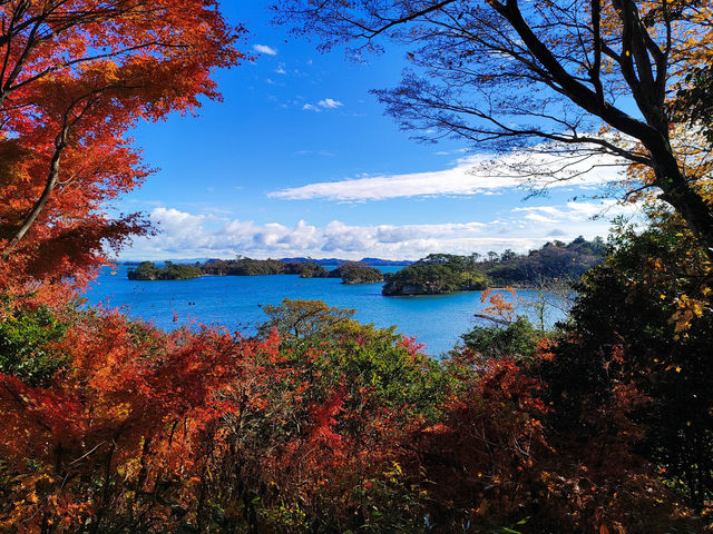Matsushima: A Day Trip Paradise of Islands