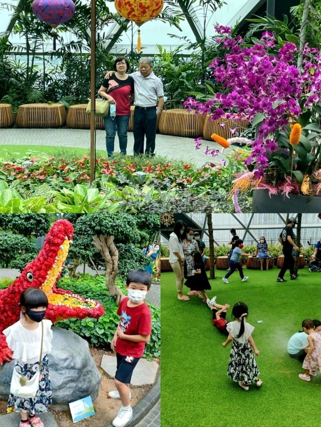 🇸🇬 Canopy Park Jewel Changi