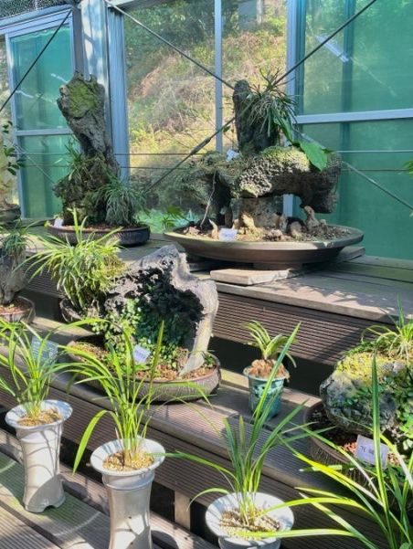 제주도 식물원 가볼만한곳🌱