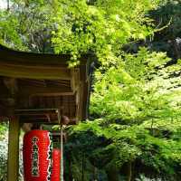 佛系之旅 福岡南藏院