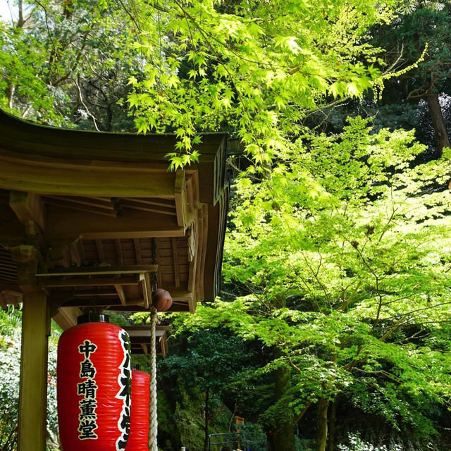 佛系之旅 福岡南藏院