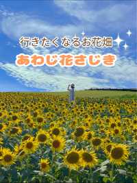 淡路島の無料お花スポット😊💐 兵庫県立公園あわじ花さじき💐😊