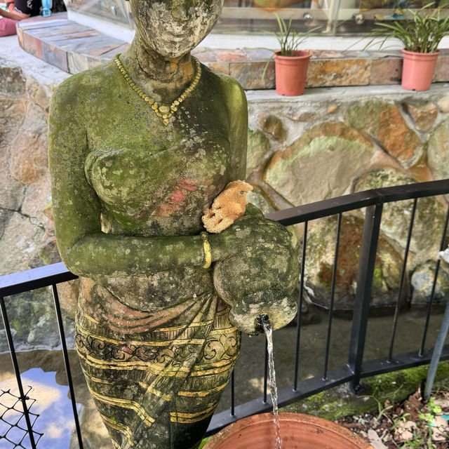 偽出國行程，古坑桂林映象會館