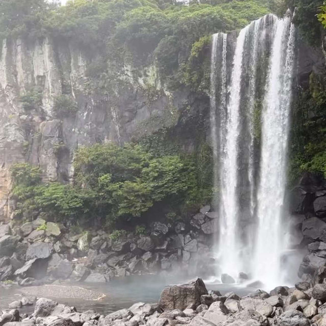 濟州島的大自然，水族館，瀑布 - 動靜皆宜之旅