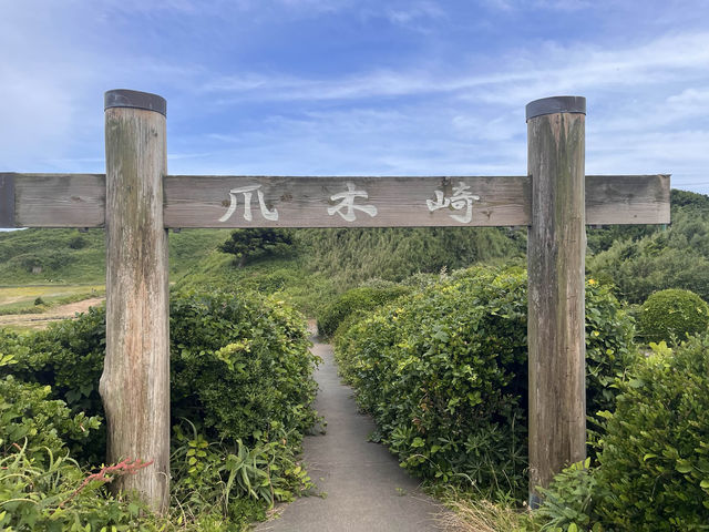 灯台が印象的な爪木崎自然公園@下田🫶🏻