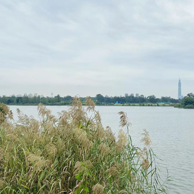 【深圳】石岩濕地公園：靜謐自然，完全放鬆身心