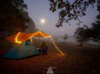 จุดกางเต็นท์หนองแม่นา