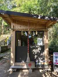 〜鳥取県〜試練に勝つ！復興と再生のパワースポット神社！