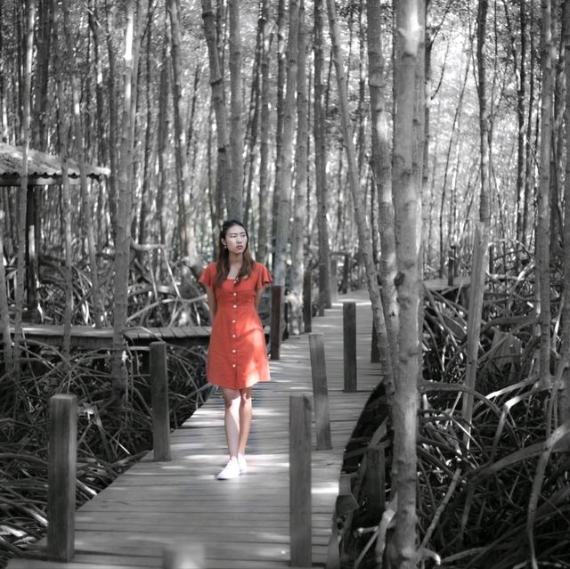 ทุ่งโปรงทอง