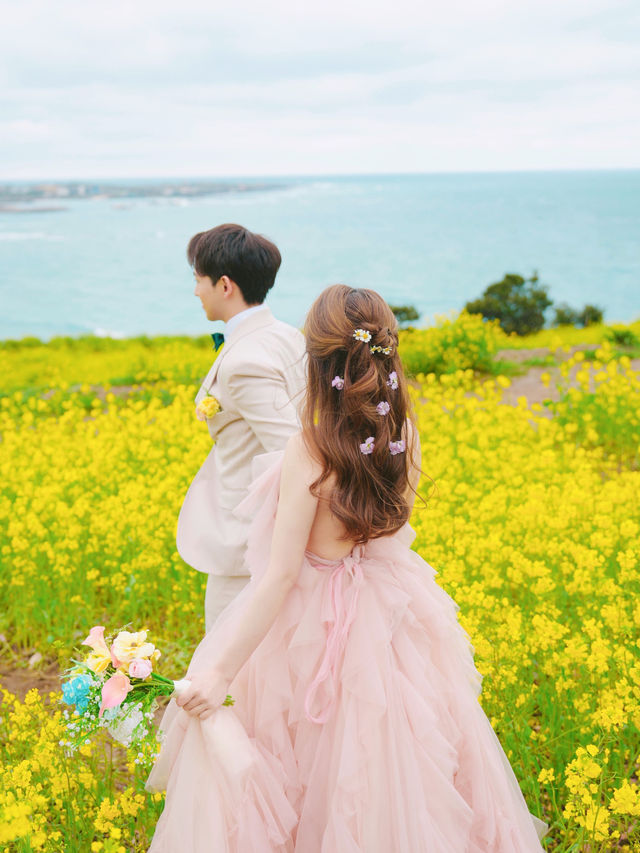 🇰🇷濟州島 為了這片油菜花和海景飛到濟州島拍婚攝🌼🌸 推介幾個沙灘景🎀