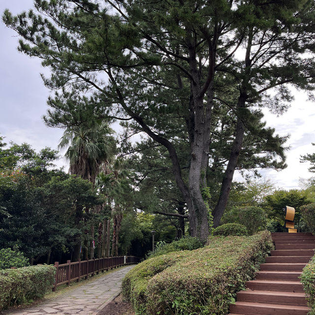 서귀포에서 힐링하기 - 요가하고🧘‍♀️갈치조림 먹고 올레길 걷기🚶‍♀️