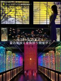 〜東京都〜日本の夏！室内スポット4選！