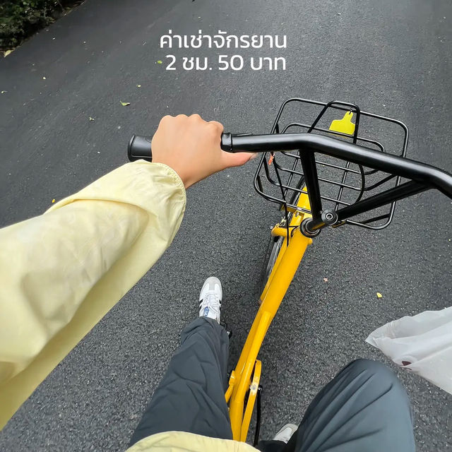 สวนหลวงร.9 ||  ศรีนครินทร์ 