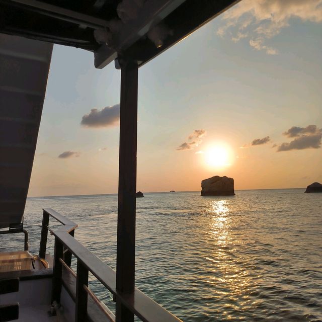 เที่ยวเกาะเต่า ล่องเรือ ดำน้ำ ตกปลาใน 1 วัน