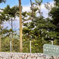 "Review of S2 Hill Park: A Family-Friendly Destination with Scenic Views and Fun Amenities"