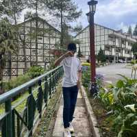 🇲🇾 Brinchang, Cameron Highlands : 2D1N Escape