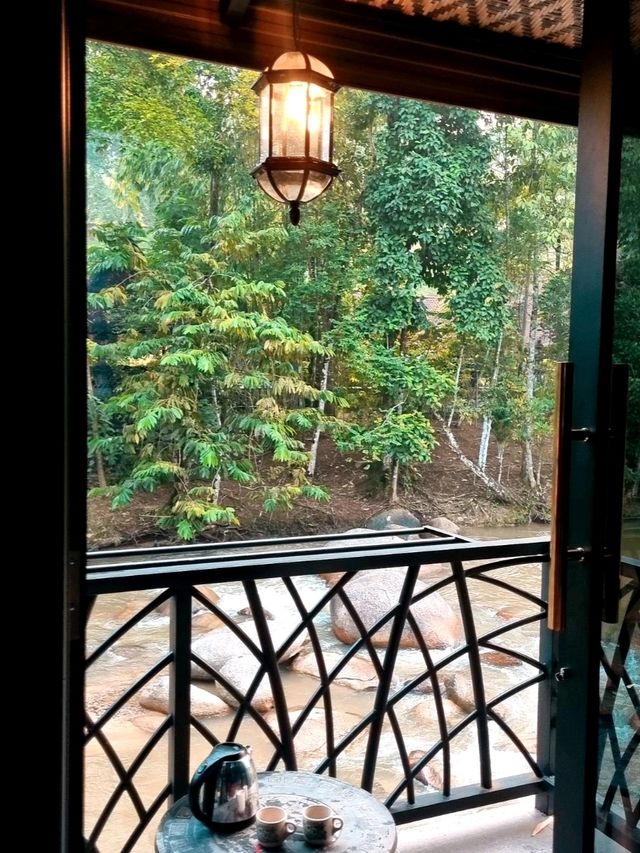 A WEEKEND BY THE RIVER, FOREST SANCTUARY