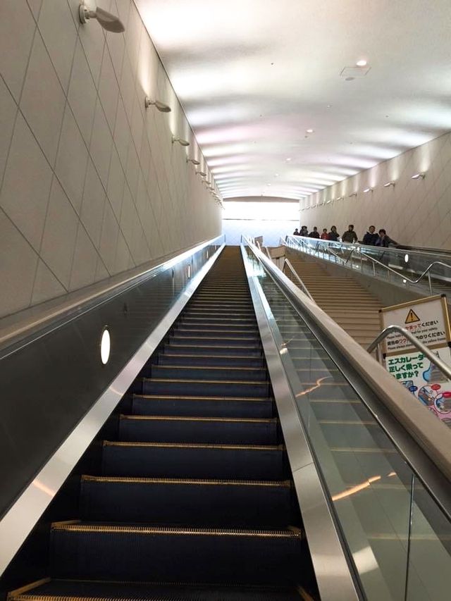 【徳島】触って！写真を撮って！楽しめる巨大美術館✨