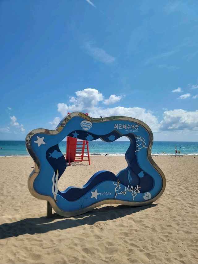 해외부럽지 않았던 포항 화진해수욕장🏖