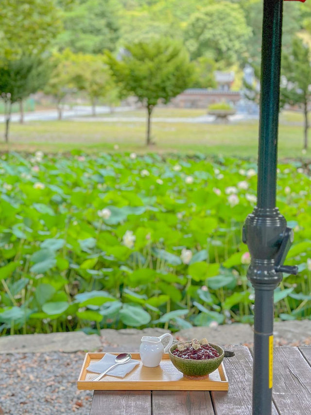 자연과 역사, 현재가 공존하는 영월 뉴트로드 여행🌿💚 