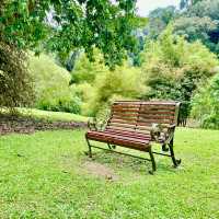 Serene Splendor at Penang Gardens