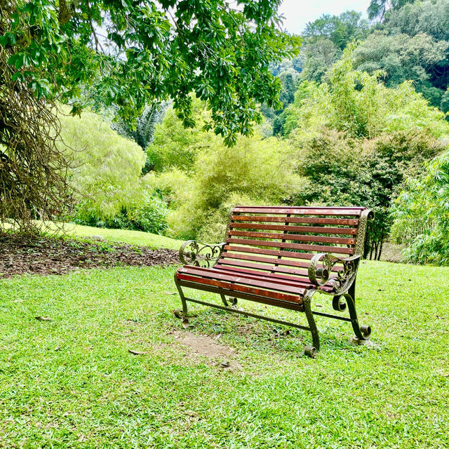 Serene Splendor at Penang Gardens