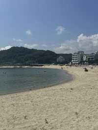 인싸의 성지 🏄‍♂️ 양양 인구해변 양리단길의 낮과 밤