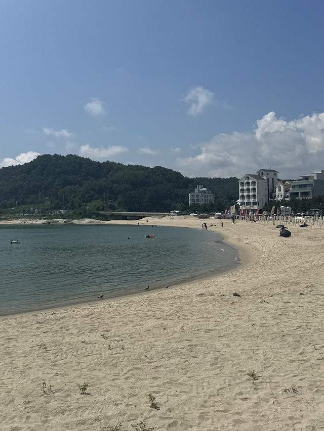 인싸의 성지 🏄‍♂️ 양양 인구해변 양리단길의 낮과 밤