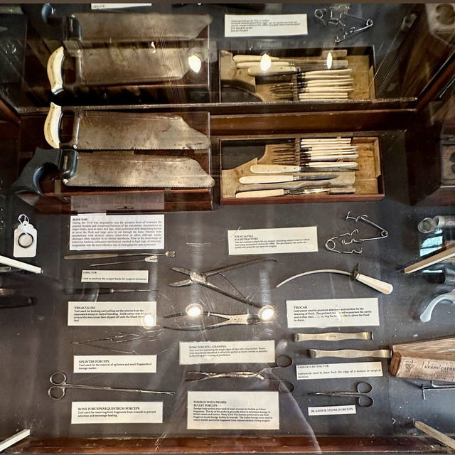 The Pharmacy Museum: A Curious Glimpse into History
