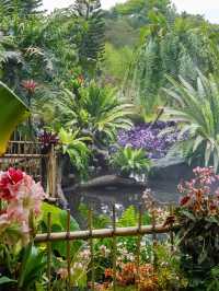 《郊遊》【深圳仙湖植物園】豐富植物景觀，化石森林展示自然奇觀。適合郊遊、中式園林愛好者