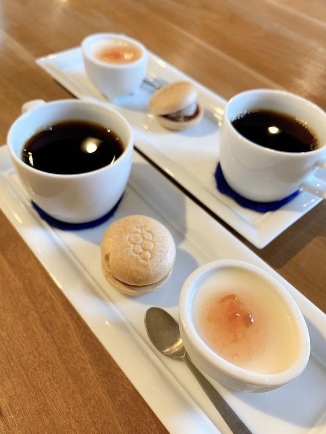 【福岡カフェ】どれから食べるか悩んでしまう！お野菜たっぷりのランチ🍽