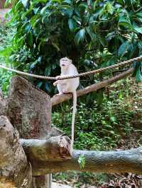 Exploring Bentong Farm: A Nature Lover’s Paradise
