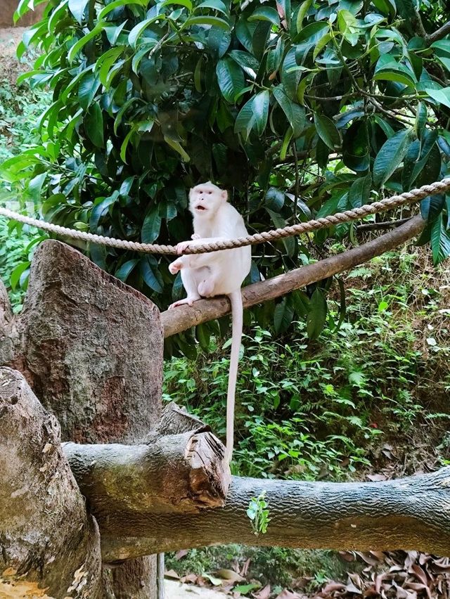 Exploring Bentong Farm: A Nature Lover’s Paradise