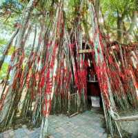 "Romantic Getaway in Sekinchan: Sunset Beaches, Wishing Trees, and Lover's Bridge"