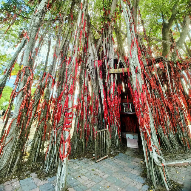 "Romantic Getaway in Sekinchan: Sunset Beaches, Wishing Trees, and Lover's Bridge"