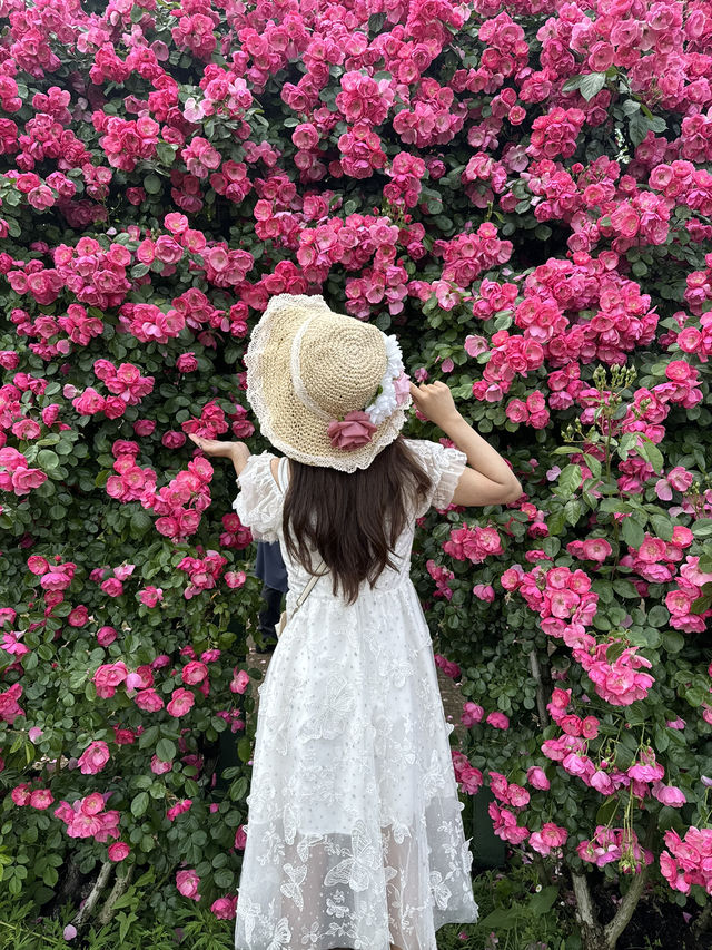 まるで本物？京成バラ園のバラアイス🌹🍨