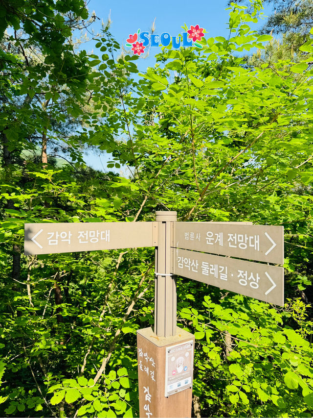 🇰🇷 Let’s go hiking to Gamaksan Suspension Bridge